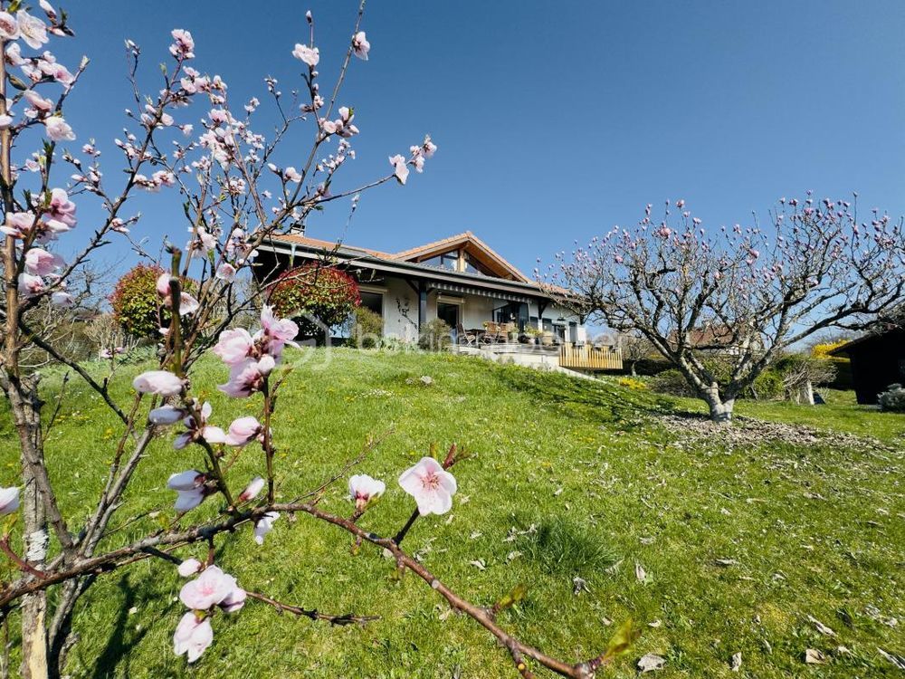 � vendre  Villa Metz-Tessy (74370)