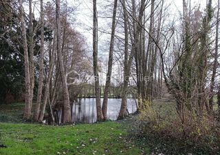  Terrain � vendre 2900 m�