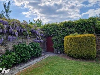  Maison � louer 5 pi�ces 156 m�