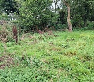  Remise / Grange � vendre 1 pi�ce 41 m�