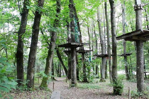 LIMOGES -  Parc de loisirs : activit&eacute; Accrobranche  sur 1,5 Hect 198300 87280 Limoges