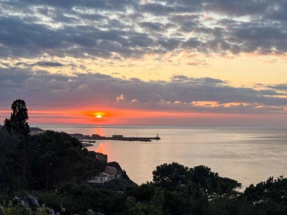 � vendre  Appartement Propriano (20110)