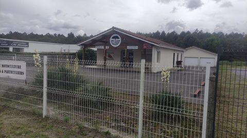 MORCENX LA NOUVELLE - MURS COMMERCIAUX LIBRES 115 m&sup2; 323000 40110 Morcenx la nouvelle