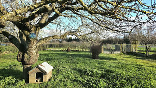  Maison � vendre 4 pi�ces 105 m�