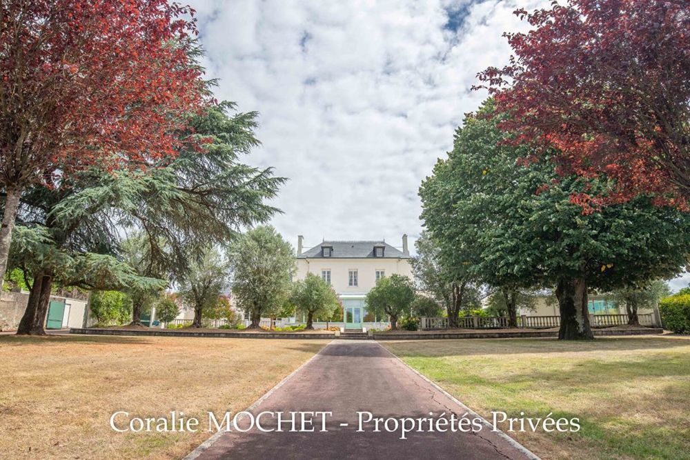 � vendre  Propri�t�/ch�teau Les Sorini�res (44840)