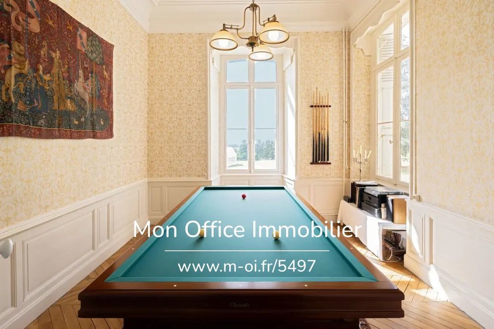 � vendre  Propri�t�/ch�teau Chazemais (03370)