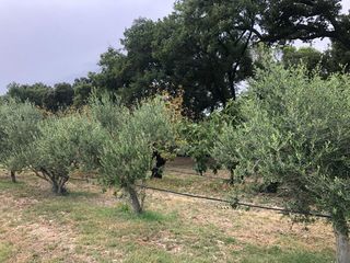  Terrain � vendre 900 m�