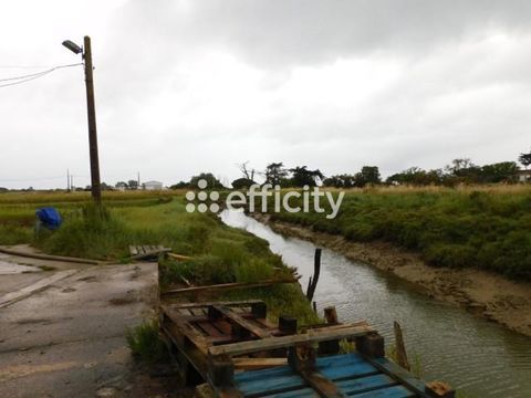 Locaux/Biens immobiliers 172500 17550 Dolus d oleron