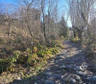  Remise / Grange � vendre 1 pi�ce 50 m�