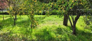  Terrain � vendre 3372 m�