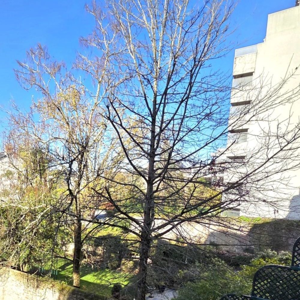 � vendre  Appartement Nantes (44100)