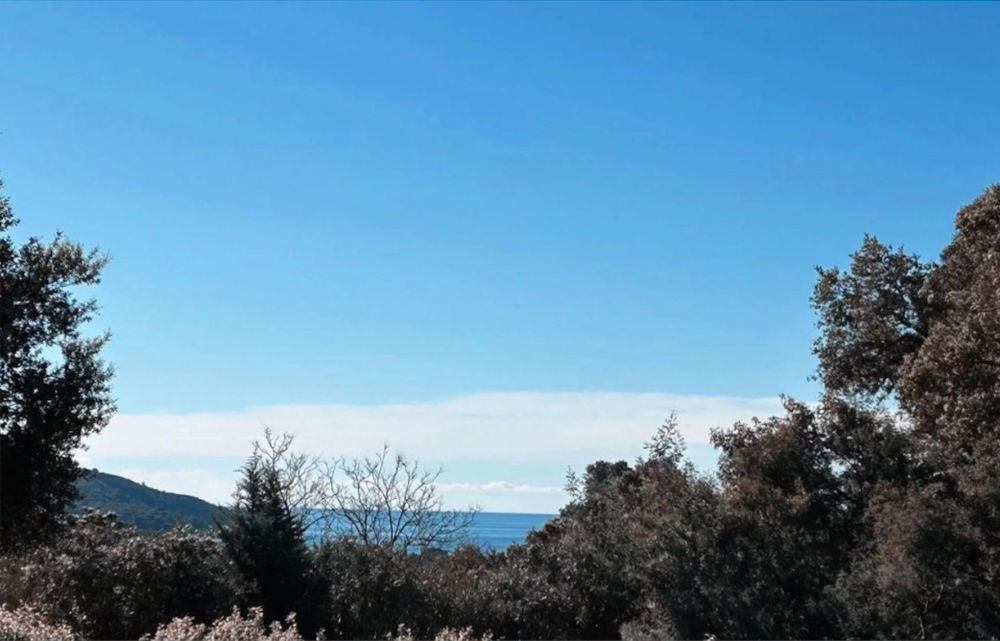 � vendre  Villa La Croix-Valmer (83420)