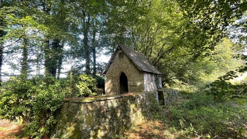 � vendre  Propri�t�/ch�teau Gouarec (22570)