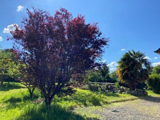  Maison � vendre 9 pi�ces 230 m�