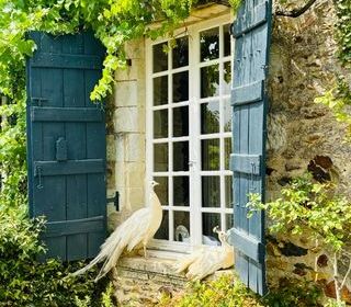  Propri�t�/ch�teau � vendre 12 pi�ces 347 m�