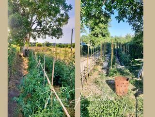  Maison � vendre 9 pi�ces 132 m�