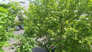  Appartement � vendre 2 pi�ces 42 m�