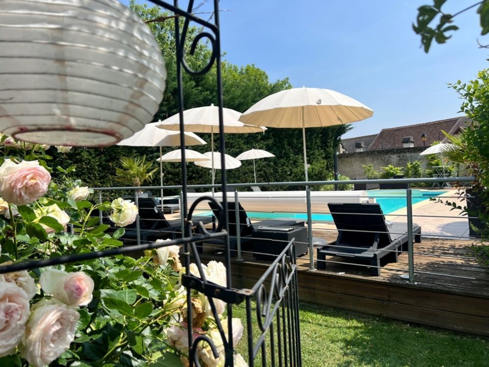 � vendre  Propri�t�/ch�teau Les Ormes (86220)