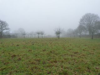  Propri�t�/ch�teau � vendre 4 pi�ces 200 m�