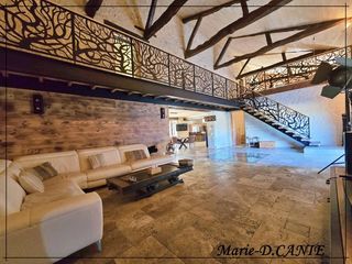  Propri�t�/ch�teau � vendre 12 pi�ces 430 m�