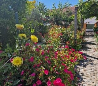  Maison � vendre 4 pi�ces 80 m�