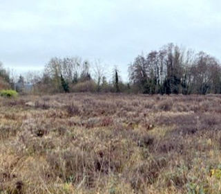  Terrain � vendre 4387 m�