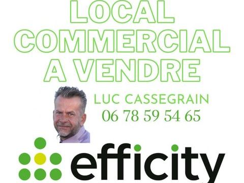 Locaux/Biens immobiliers 176000 13100 Aix en provence