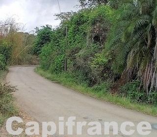  Terrain � vendre 7647 m�