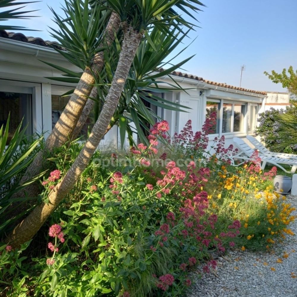 � vendre  Maison Saint-Martin-de-R� (17410)