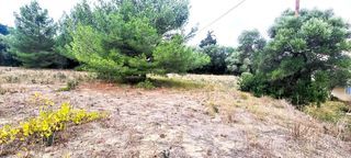  Terrain � vendre 1220 m�