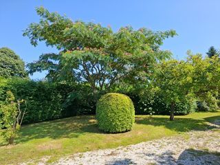  Maison � vendre 2 pi�ces 37 m�