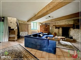  Propri�t�/ch�teau � vendre 8 pi�ces 300 m�