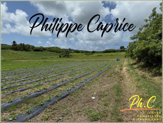  Terrain � vendre 2000 m�