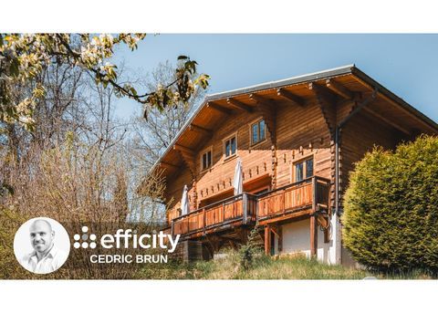   Chalet Chalet - 7 pi�ce(s) - 251 m�