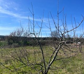  Terrain � vendre 2600 m�