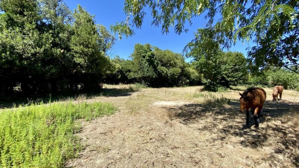 � vendre  Maison Tarascon (13150)