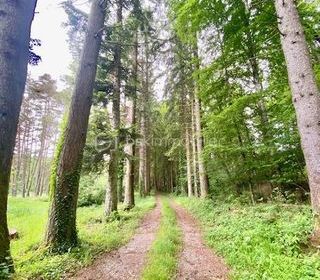  Propri�t�/ch�teau � vendre 15 + pi�ces 641 m�