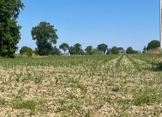  Terrain � vendre 9678 m�