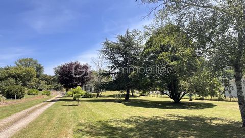   Magnifique �crin de 4700 m� pour grande maison 7 pi�ces, 4 chambres, sur sous-sol Maison - 7 pi�ce(s) - 198 m�