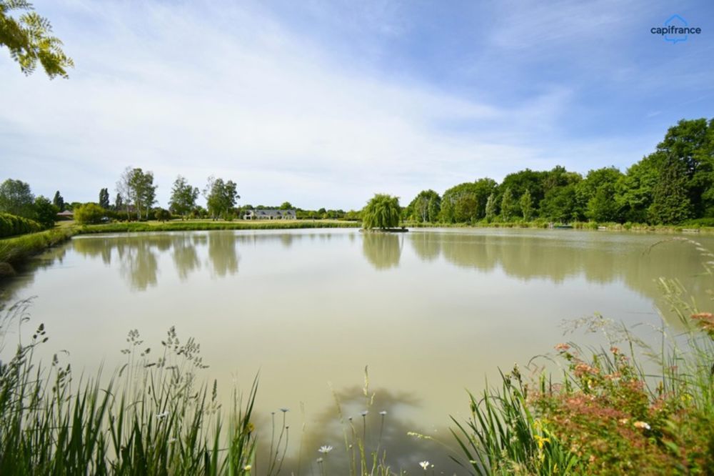 � vendre  Propri�t�/ch�teau Vernou-en-Sologne (41230)