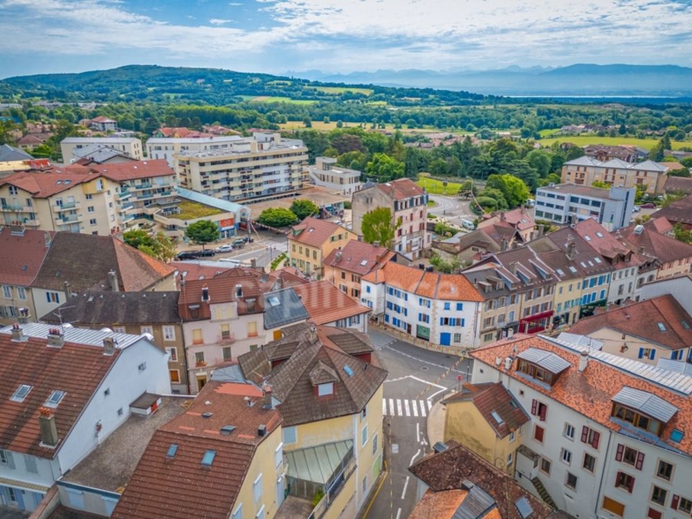 � vendre  Maison Gex (01170)