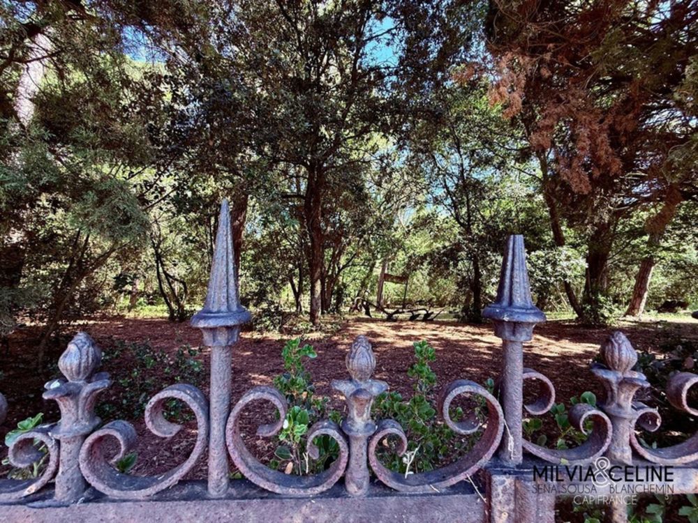 � vendre  Propri�t�/ch�teau Carcassonne (11000)