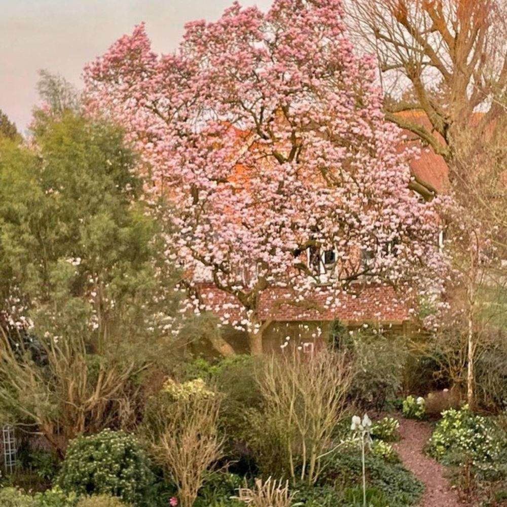 � vendre  Maison De�l�mont (59890)