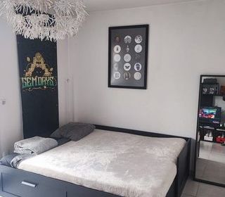  Appartement � louer 1 pi�ce 27 m�