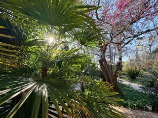  Maison � vendre 8 pi�ces 284 m�