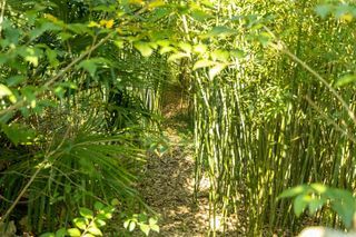  Maison � vendre 15 + pi�ces 523 m�