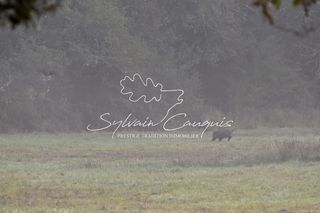  Propri�t�/ch�teau � vendre 15 + pi�ces 800 m�