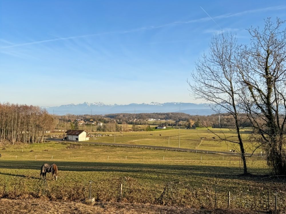 � vendre  Maison Divonne-les-Bains (01220)