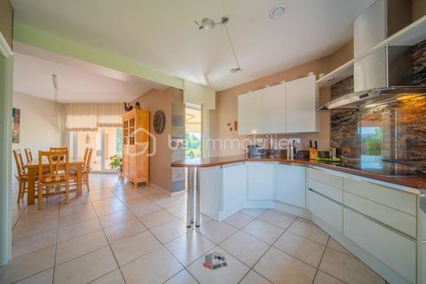   Maison d'architecte 290 m� � Parc paysager 8 000 m� � 5 ch � Entr�e cath�drale � Secteur Boulay-Moselle Maison - 8 pi�ce(s) - 290 m�