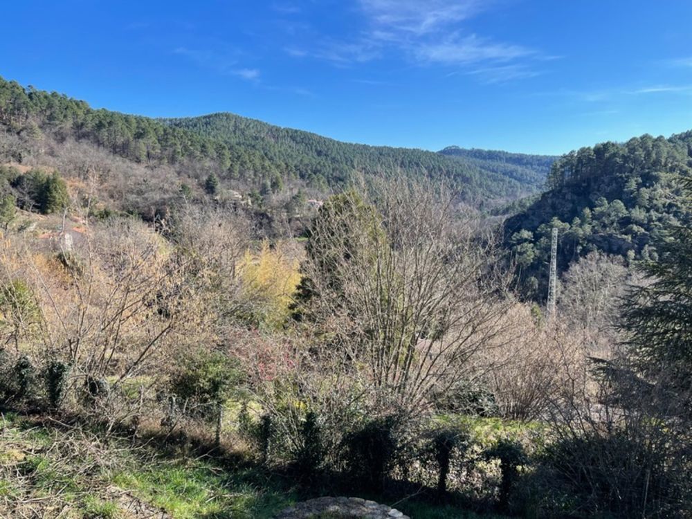 � vendre  Maison Le Collet-de-D�ze (48160)